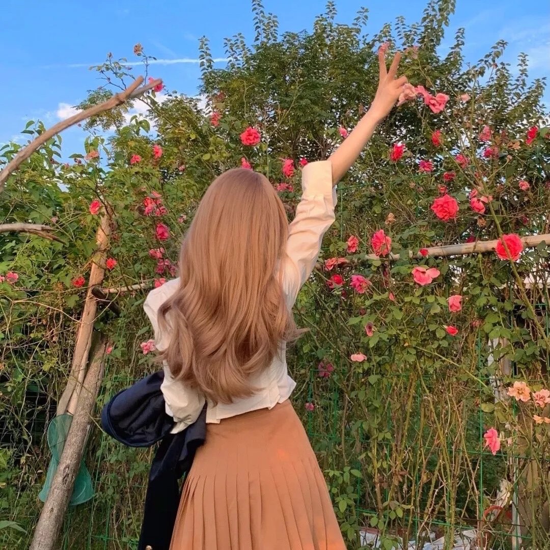 反攻！从顶流做起