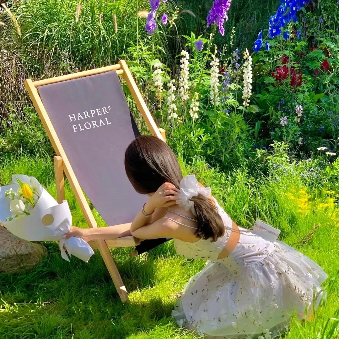 皇贵妃她怀了紫薇星